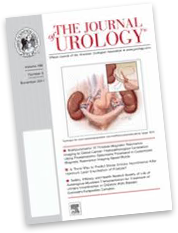 Estudo clínico feito pelo Jornal de Urologia